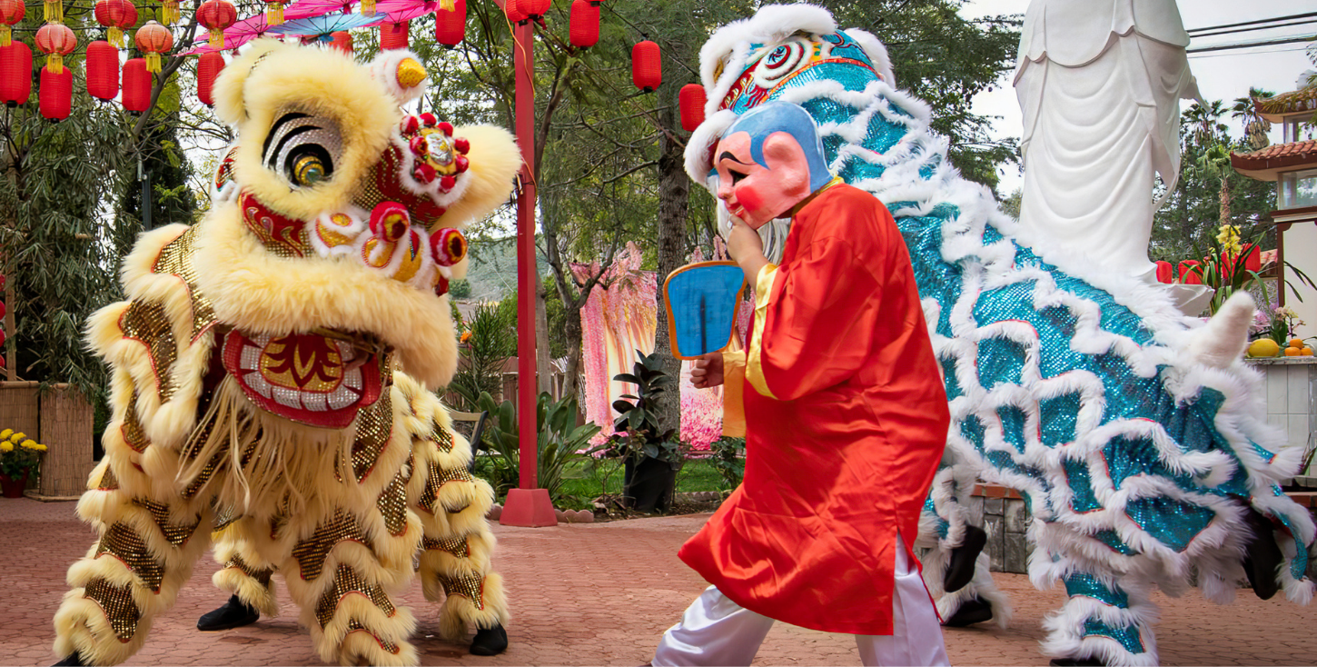 The image shows a traditional Chinese lion dance performance. There are two lion dance costumes, one yellow and one blue, being operated by performers. The yellow lion is on the left side of the image, and the blue lion is on the right side. The performers are dressed in red and white traditional attire. The background includes red lanterns hanging from above, a large white statue, and some greenery. The lion dance is a significant cultural performance often seen during Chinese New Year and other celebrations, symbolizing good luck and fortune.